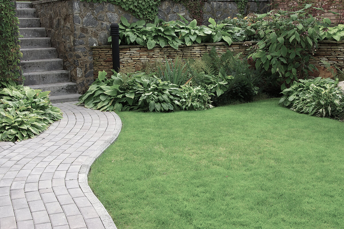 Welcome to Property Landscaping